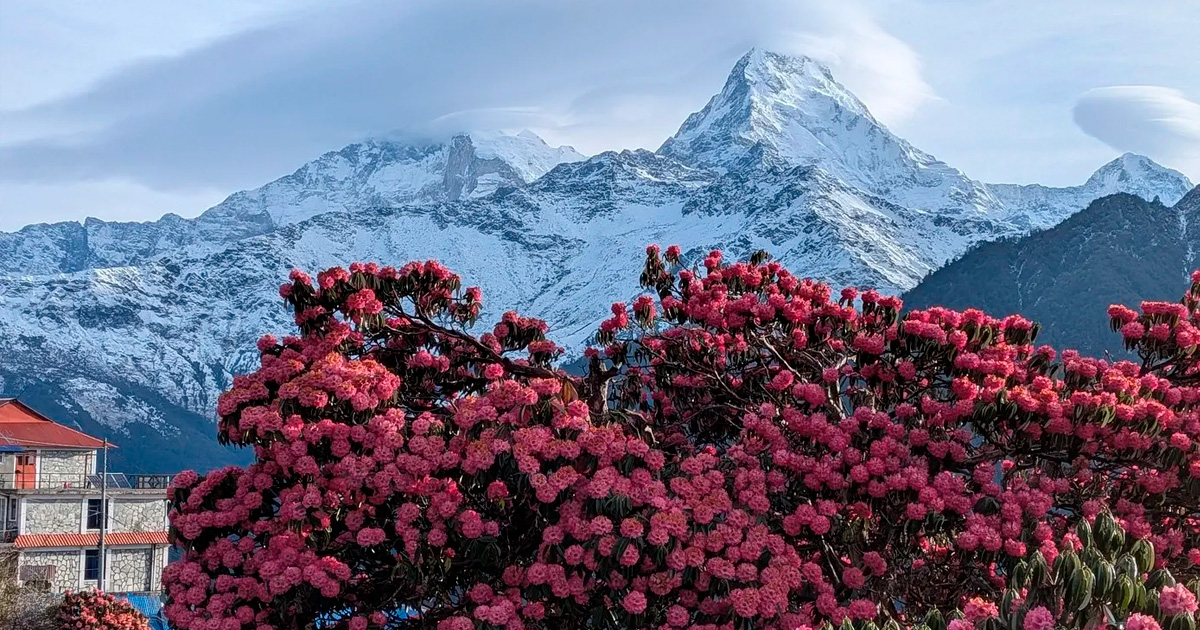 Nepal Tour in March to May